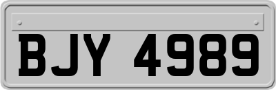 BJY4989