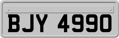 BJY4990