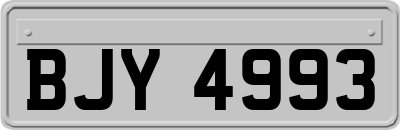 BJY4993