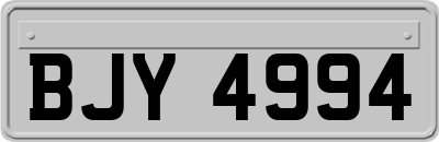 BJY4994