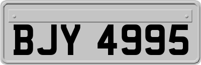 BJY4995