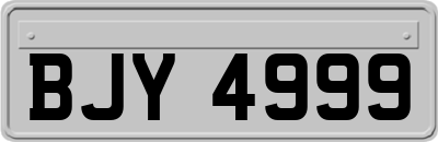 BJY4999