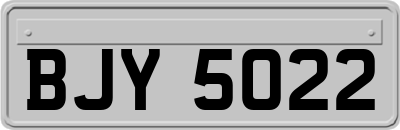 BJY5022