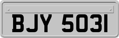 BJY5031