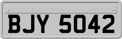 BJY5042