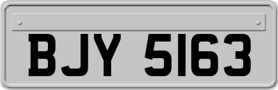 BJY5163