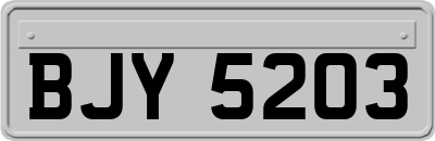 BJY5203