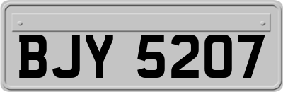 BJY5207