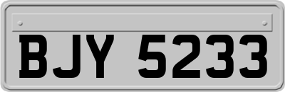 BJY5233