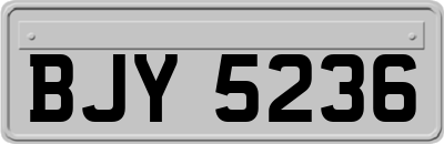 BJY5236
