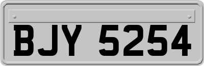 BJY5254