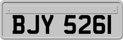 BJY5261