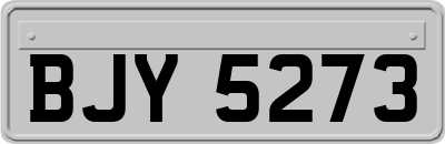 BJY5273