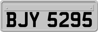 BJY5295