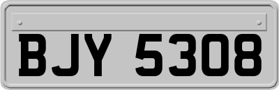 BJY5308