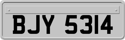 BJY5314