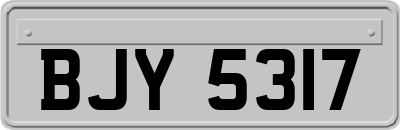 BJY5317