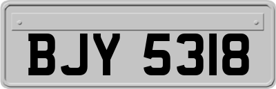 BJY5318