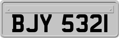 BJY5321