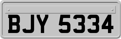 BJY5334