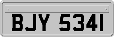 BJY5341