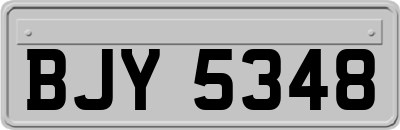 BJY5348
