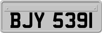 BJY5391
