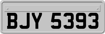 BJY5393