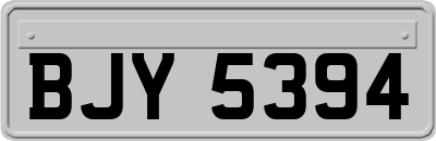 BJY5394