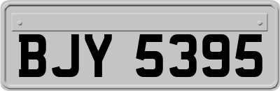 BJY5395