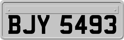 BJY5493