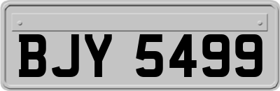 BJY5499