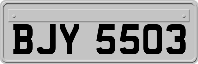 BJY5503