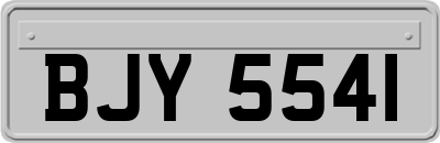 BJY5541