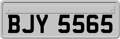 BJY5565