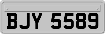 BJY5589