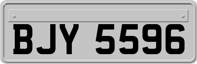 BJY5596