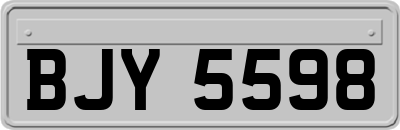 BJY5598
