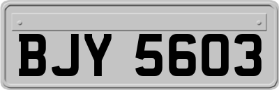 BJY5603