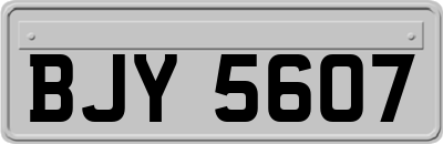 BJY5607
