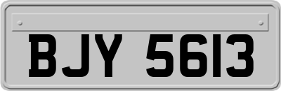 BJY5613
