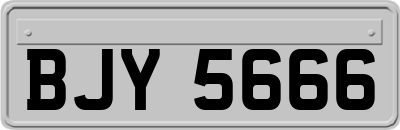 BJY5666