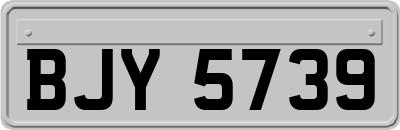 BJY5739
