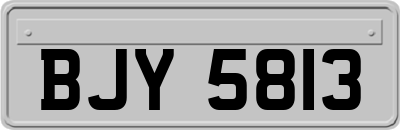 BJY5813