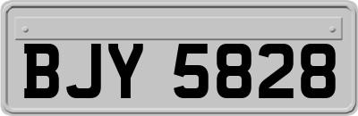 BJY5828