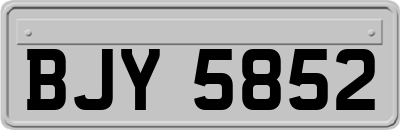 BJY5852