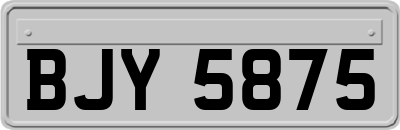 BJY5875