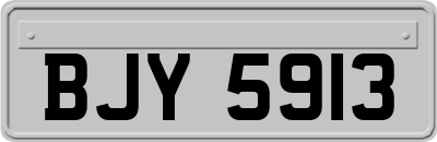 BJY5913