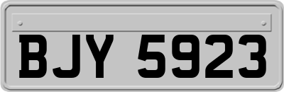 BJY5923