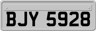 BJY5928
